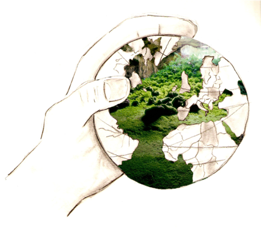 Colegio Platero - III Green School Project