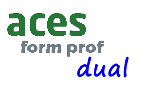 Proyecto FP Dual e Internacionalizacion. ACES-FAECTA.